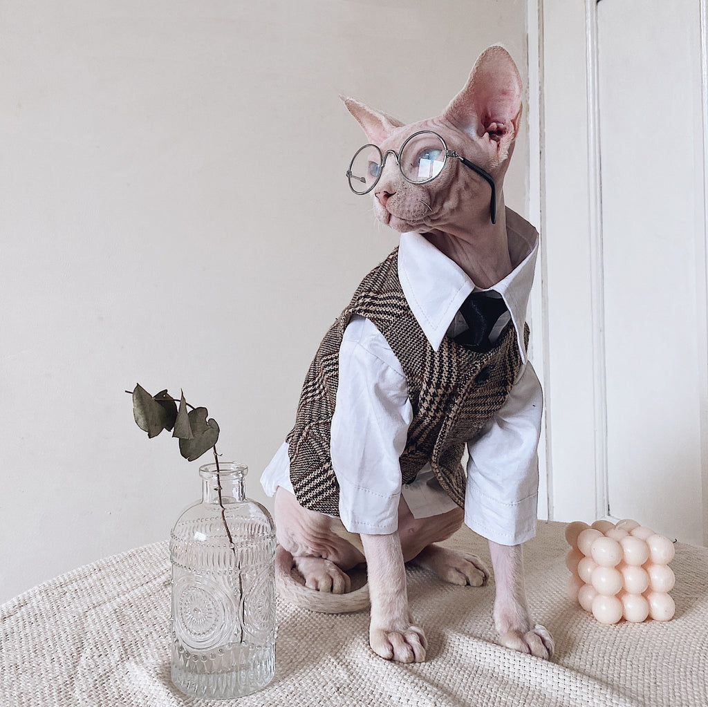 Vestito Elegante per Gatti Sphynx | Completo Giacca e Cravatta | Dogmoda