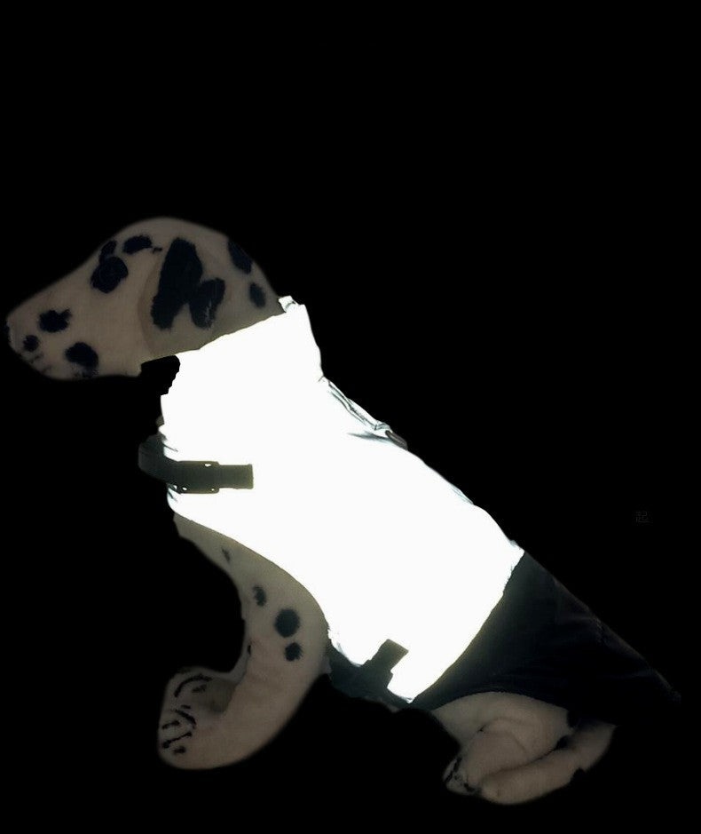 "Joy" Reflective Waterproof Dog Coat with Ring | DogModa