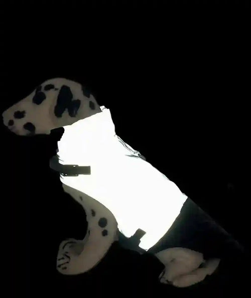 Cappotto per cani "Joy" riflettente impermeabile con anello | DogModa by Dog Moda