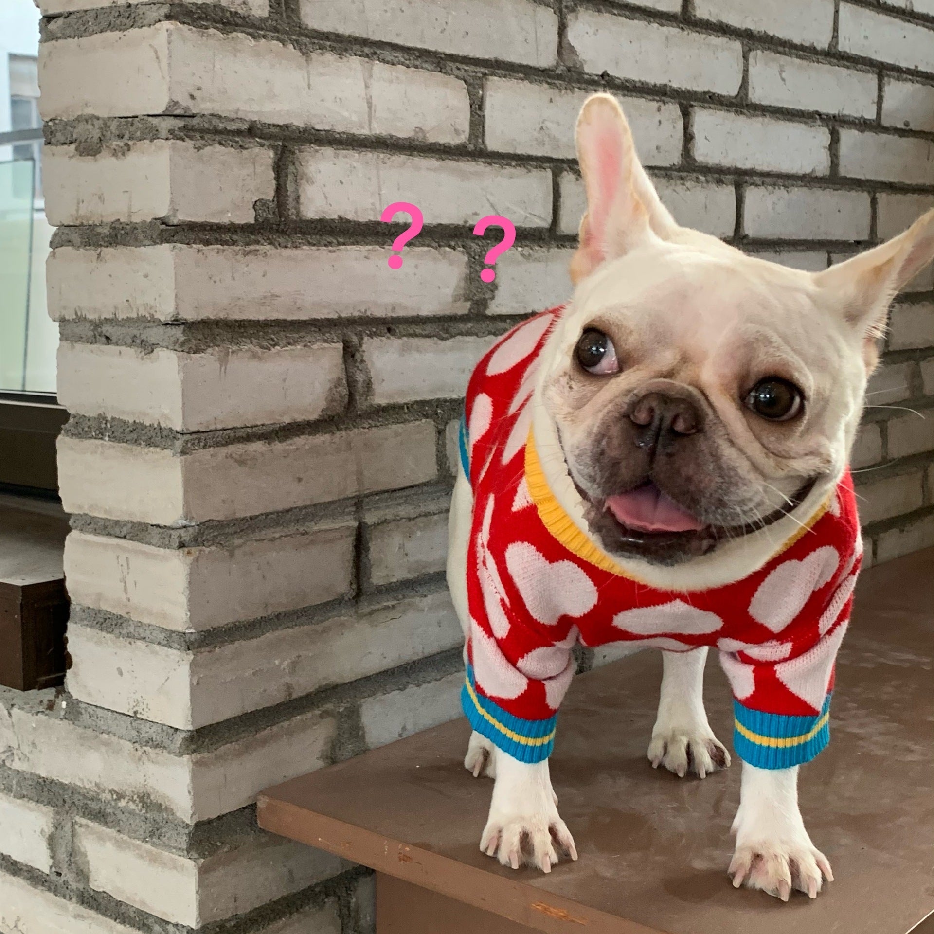 Maglioncino "Rubacuori" per Bulldog e Altri Cani – Cuori Rossi per Scaldare il Tuo Pet con Stile - Dog Moda