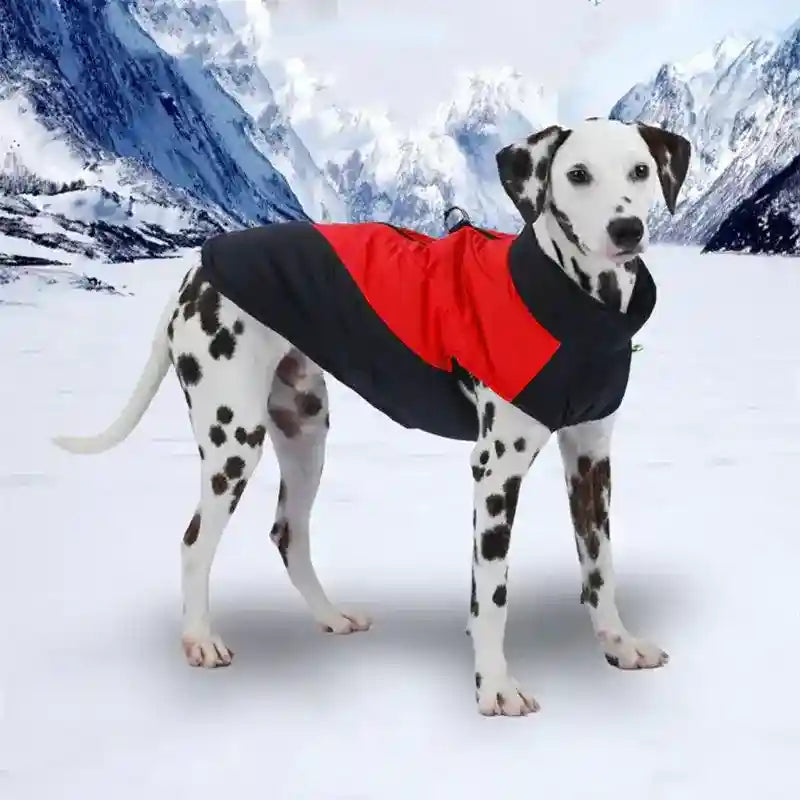 Abrigo Amarok para Perros con Cremallera - Impermeable de Invierno