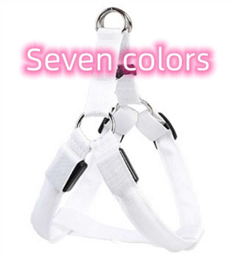 "Hudson" USB Rechargeable Light Up Dog Harness