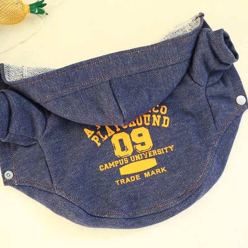 Campus University Dog Hoodie