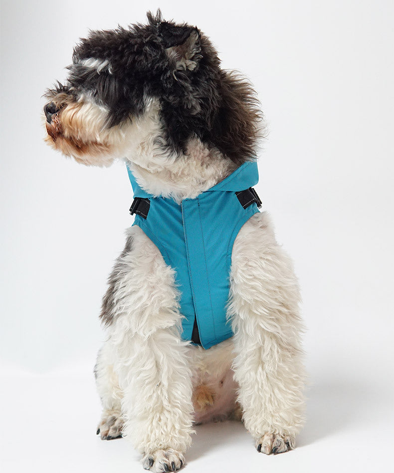 Impermeabile per Cani Modello "Cloudy" con Pettorina Integrata e Chiusura in Velcro - Dog Moda