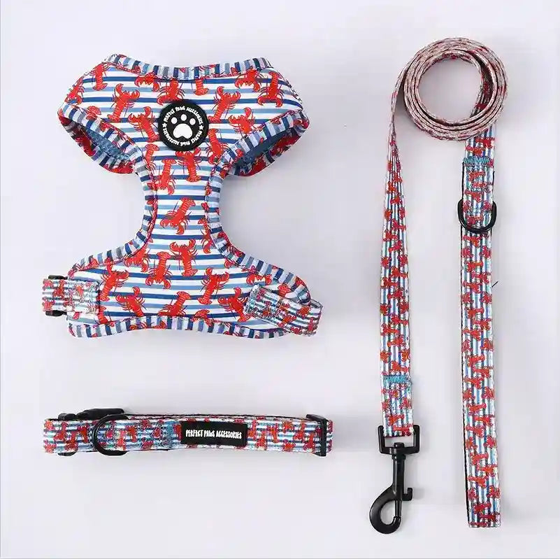 Set Pettorina Collare Guinzaglio Cani Perfect Paw by Dog Moda