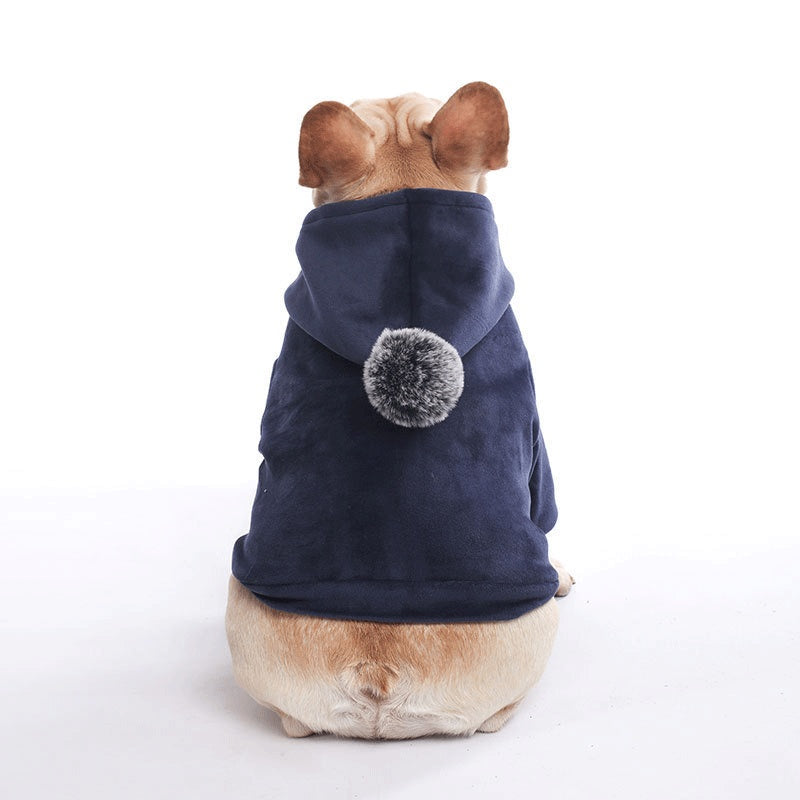 Felpa per Cani con Cappuccio "Aape" – Morbida, Calda e Stile Streetwear