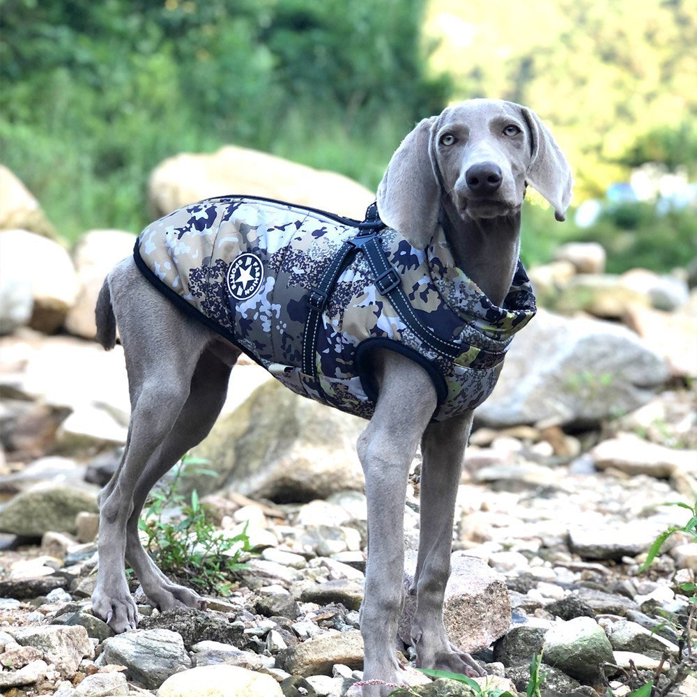 Giacca per cani impermeabile in pile con pettorina integrata "Forest" - Protezione e Stile per il tuo Cane