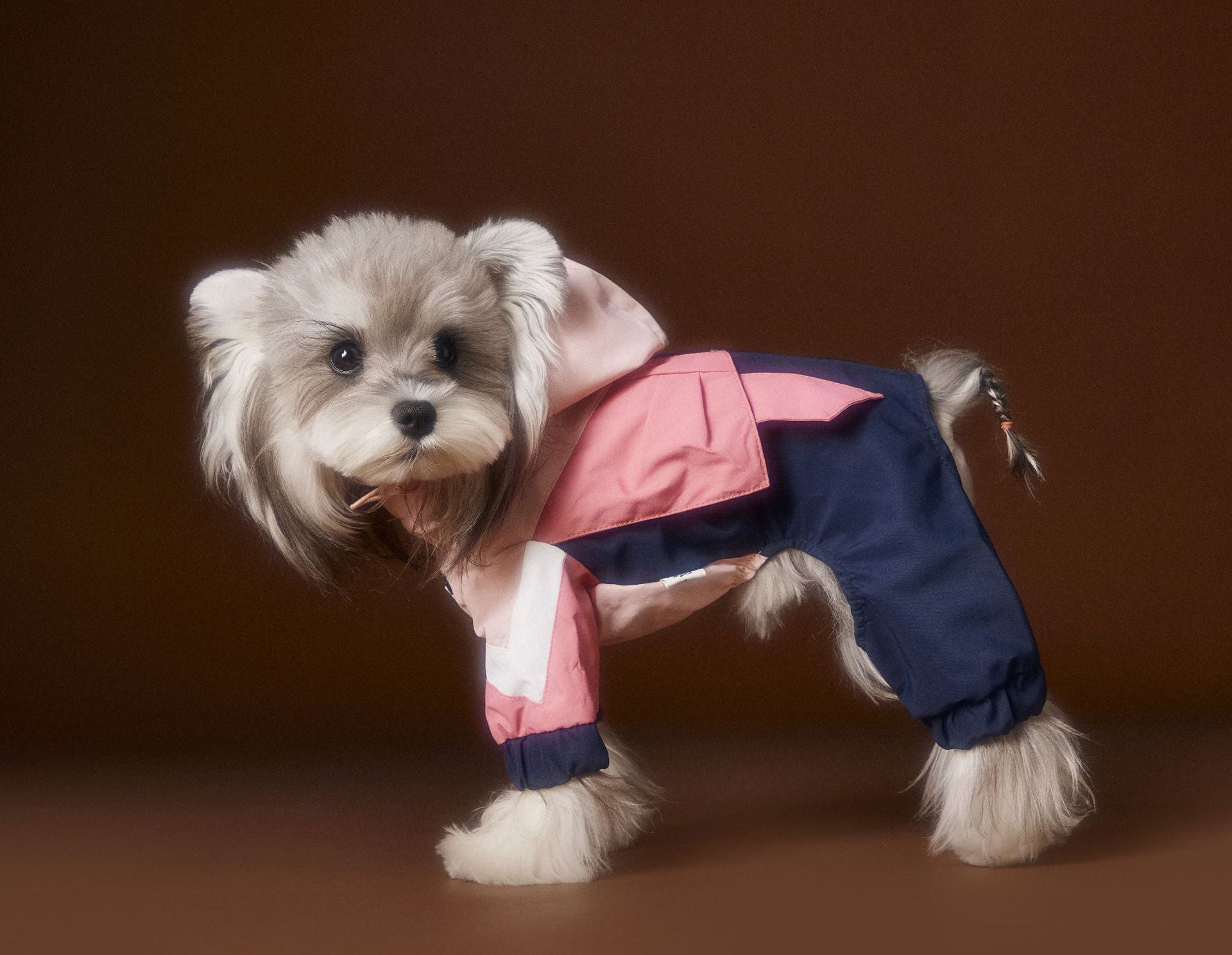 Tawney Bear 4-Legged Dog Raincoat with High Collar