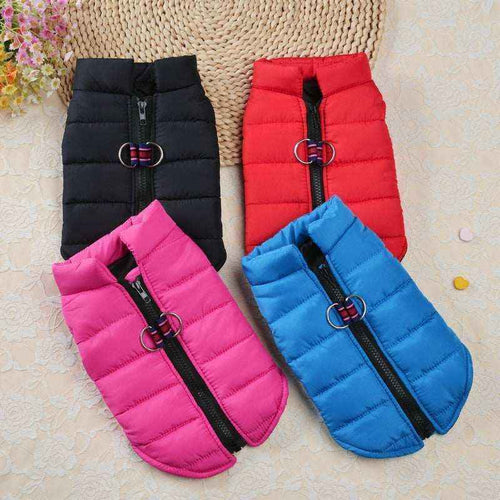 Four colorful puffer dog jackets in black, red, pink, and blue with front zippers and D-ring harness attachments