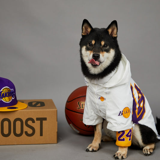 Lakers Dog Raincoat with Hood | Basketball Dog Jacket