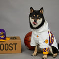 Impermeable para Perros Lakers con Capucha | Chaqueta Perro Baloncesto