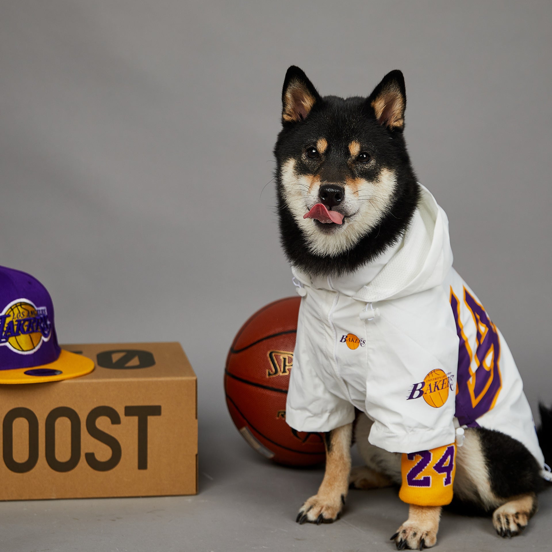 Impermeabile per Cani Lakers con Cappuccio | Giacca Cane Basket