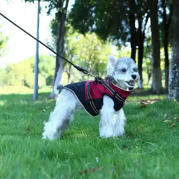 Hundemantel mit Geschirr und Reißverschluss