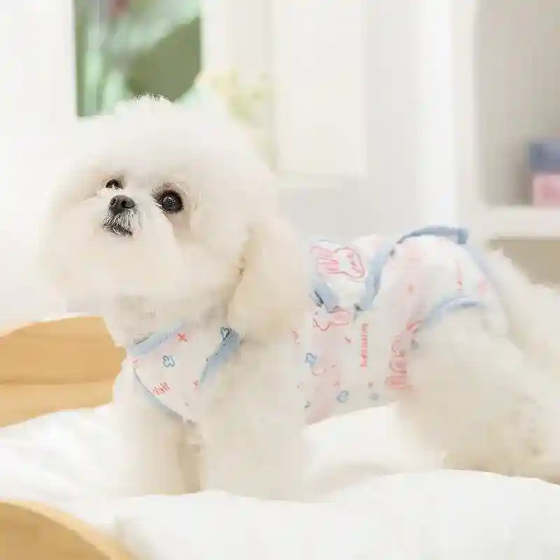 Tutina Cani Gatti Protettiva - Orsetto Coniglietto Post by Dog Moda