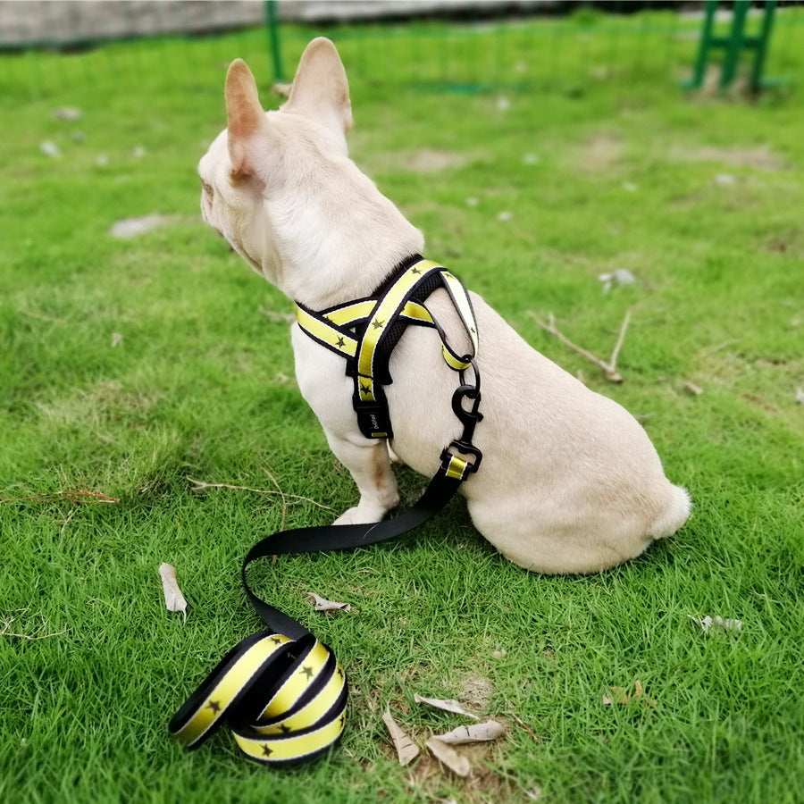 Finnish dog harness "Hollywood" model