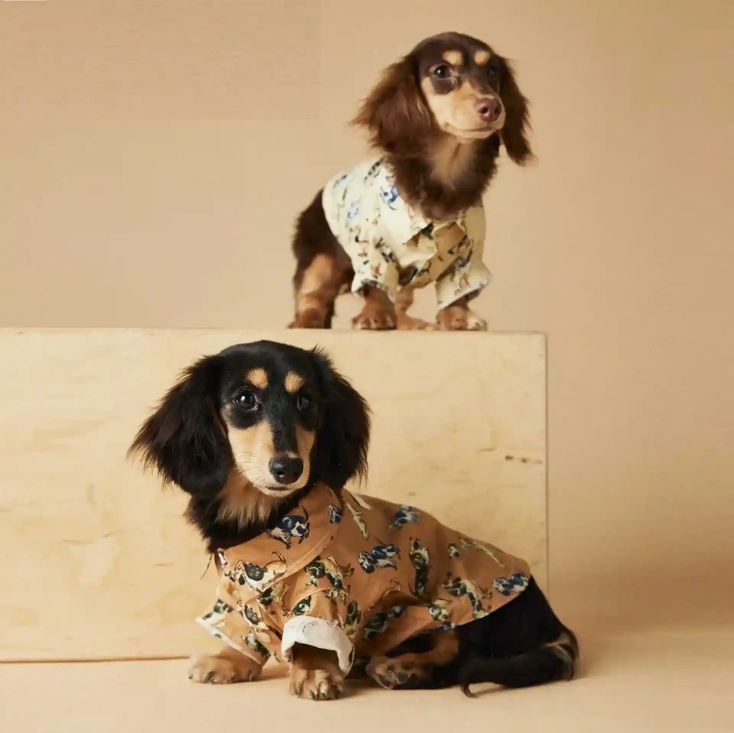Camicetta Tawney Bear per Cani - Beige con Stampa by Dog Moda