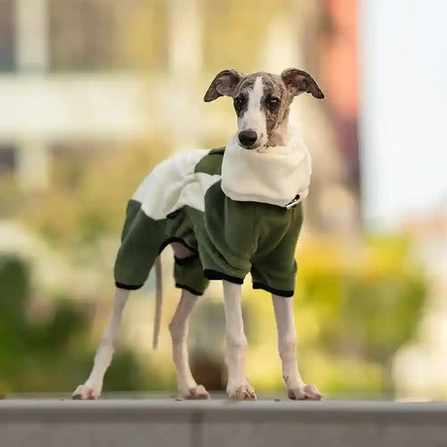 Cappotto Pile Cani Focus con Zip e Taschino - Invernale by Dog Moda