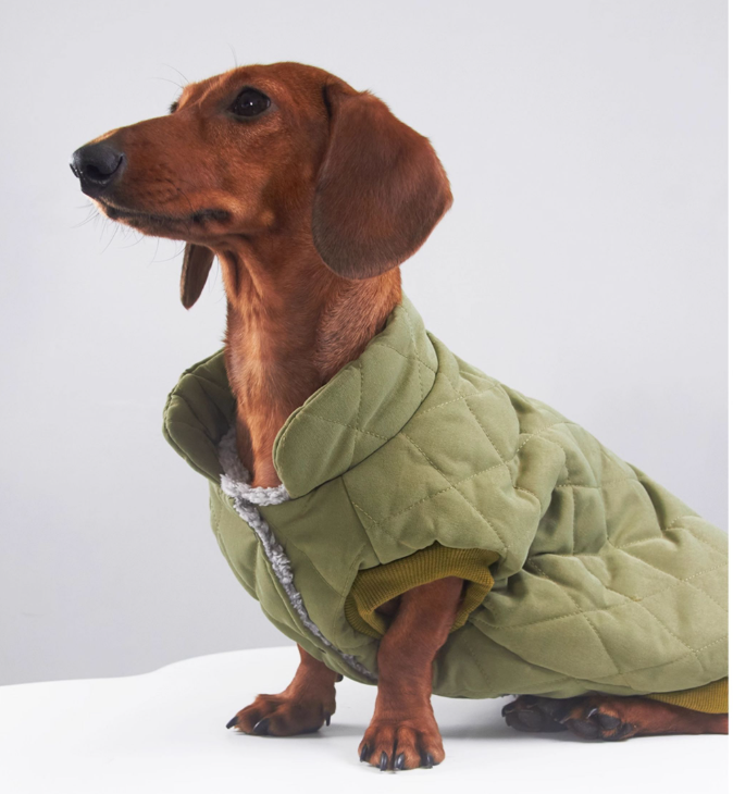 Sweet Dachshund Coat Quilted Diamond Padded Fleece