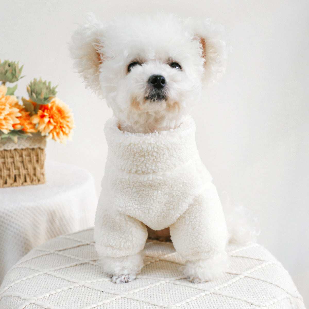 Maglia in Pile "ABC Cozy" per Cani - Calore e Stile nei Mesi Freddi - Dog Moda