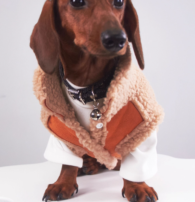 Cappotto Cani Bassotto Waffle Pile Lungo Smanicato