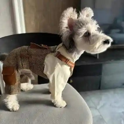 Salopette per Cani con Bretelle - Stile British Premium