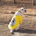Large Dog Hoodie - Teddy Bear and Panda