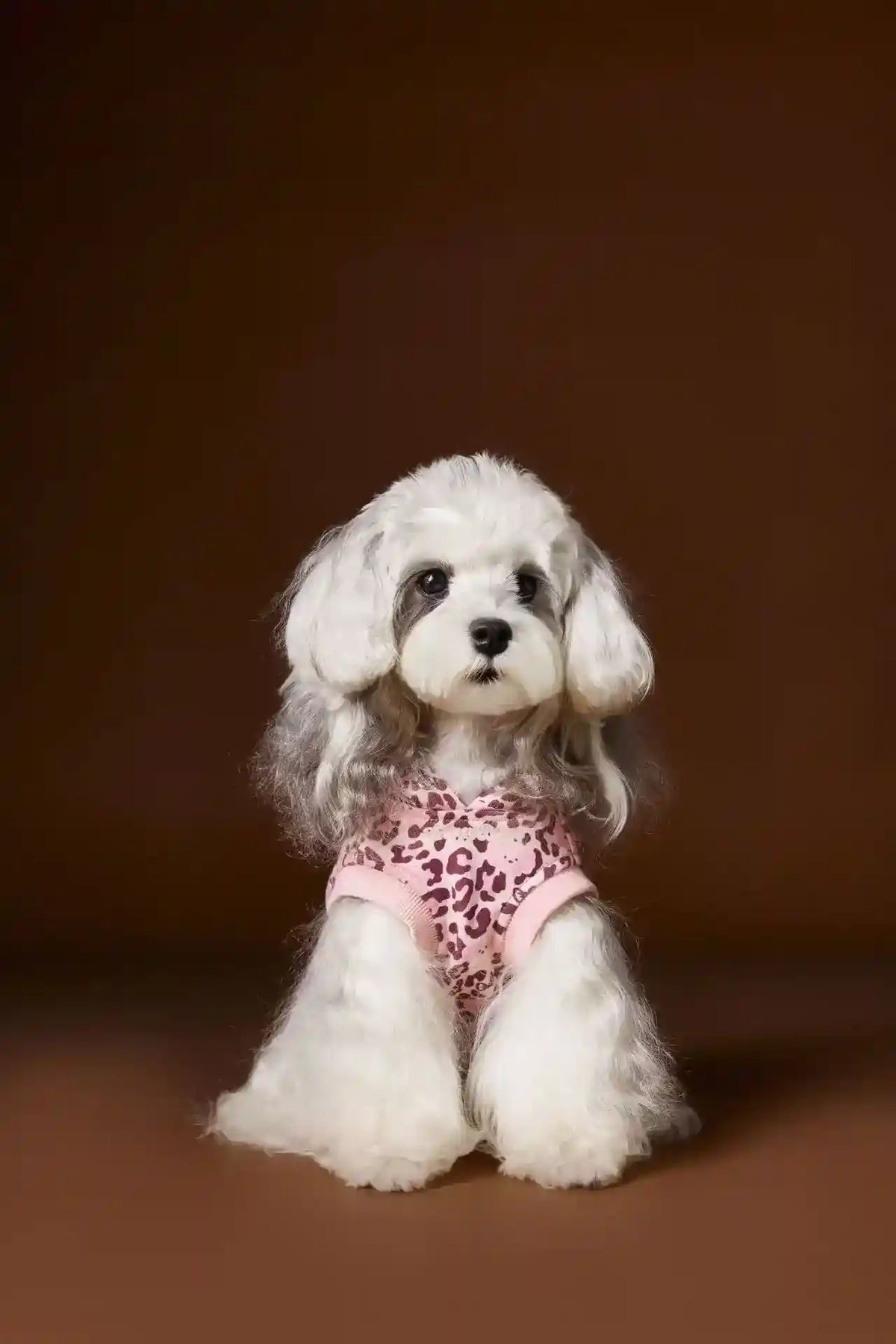 Maglia Tawney Bear Leopardata con Cappuccio - Smanicata by Dog Moda