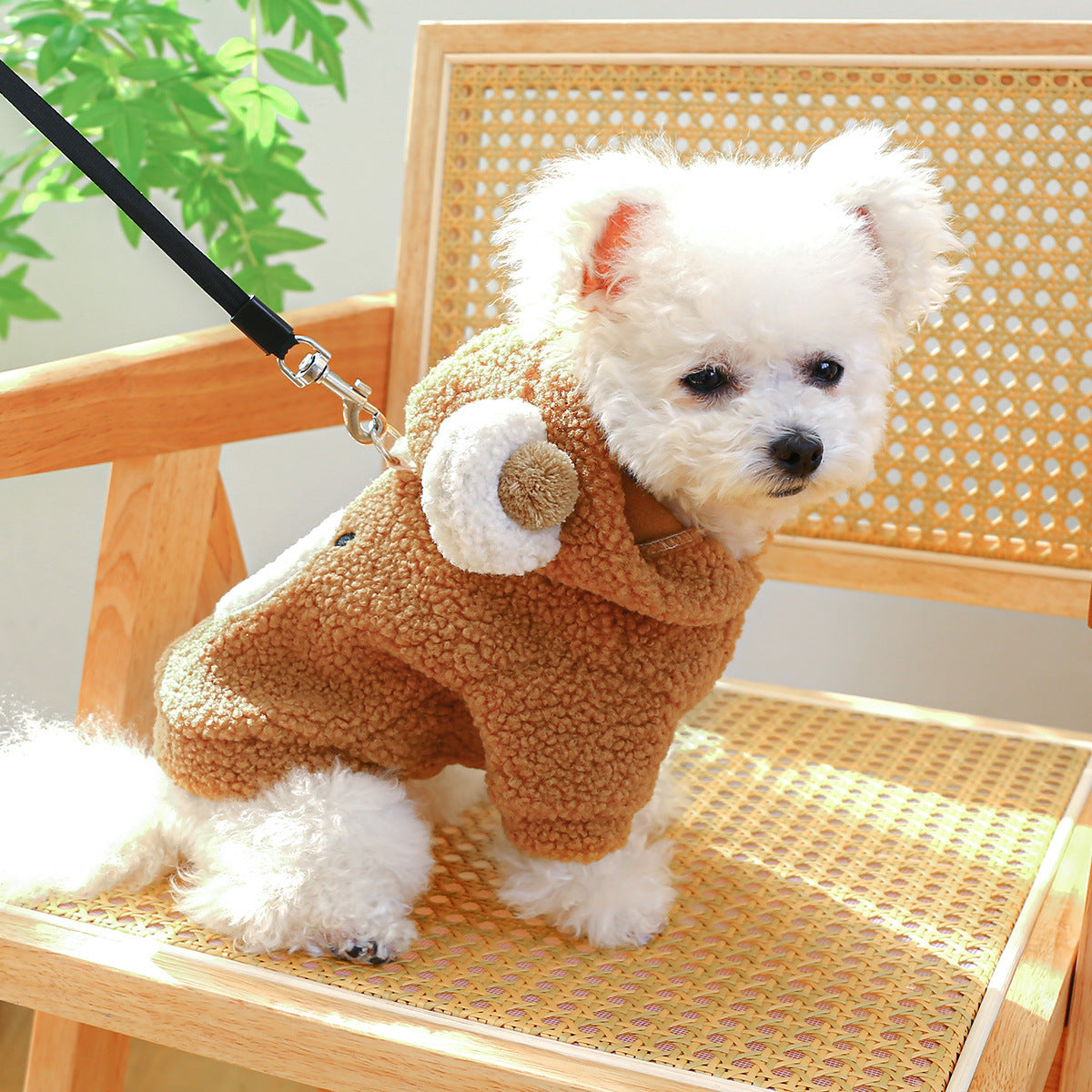 Dog Sweatshirt with Embroidered Teddy Bear and Hood with Ears
