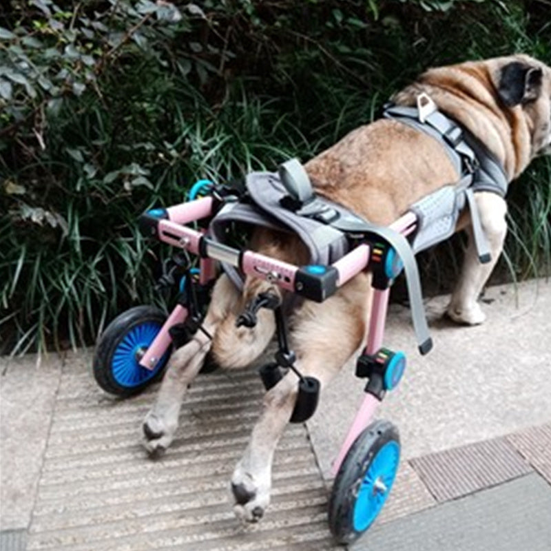 Wheelchair for Disabled or Elderly Dogs with Back Leg Support