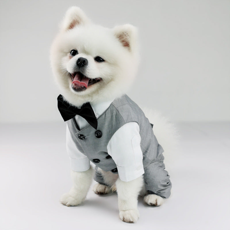Vestito da cerimonia per cane grigio "Panama" - Dog Moda