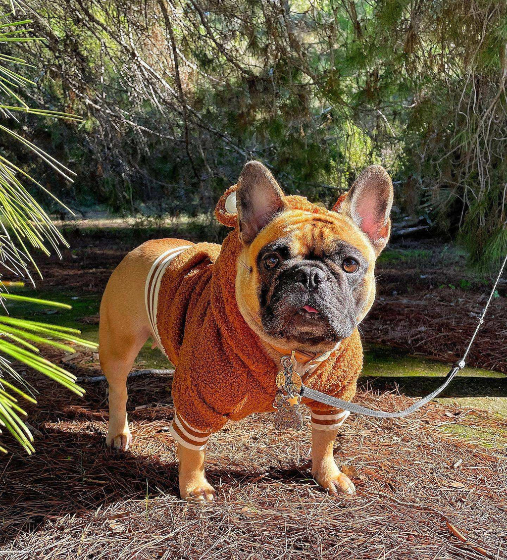 Fleece-Hundesweatshirt mit Kapuze und Ohren, weich und warm