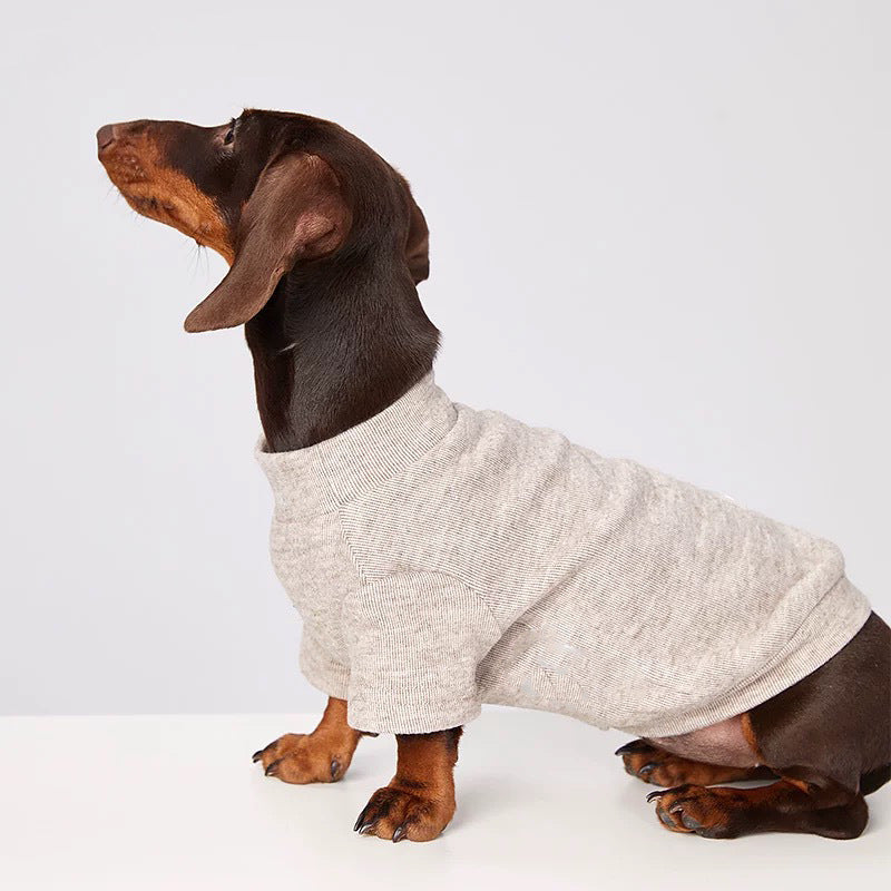 Maglia Tecnica per Cani - Leggera e Traspirante per Tutte le Stagioni