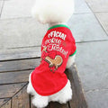 White fluffy dog wearing a red Christmas sweater with green trim labeled Official Cookie Tester on wooden bench