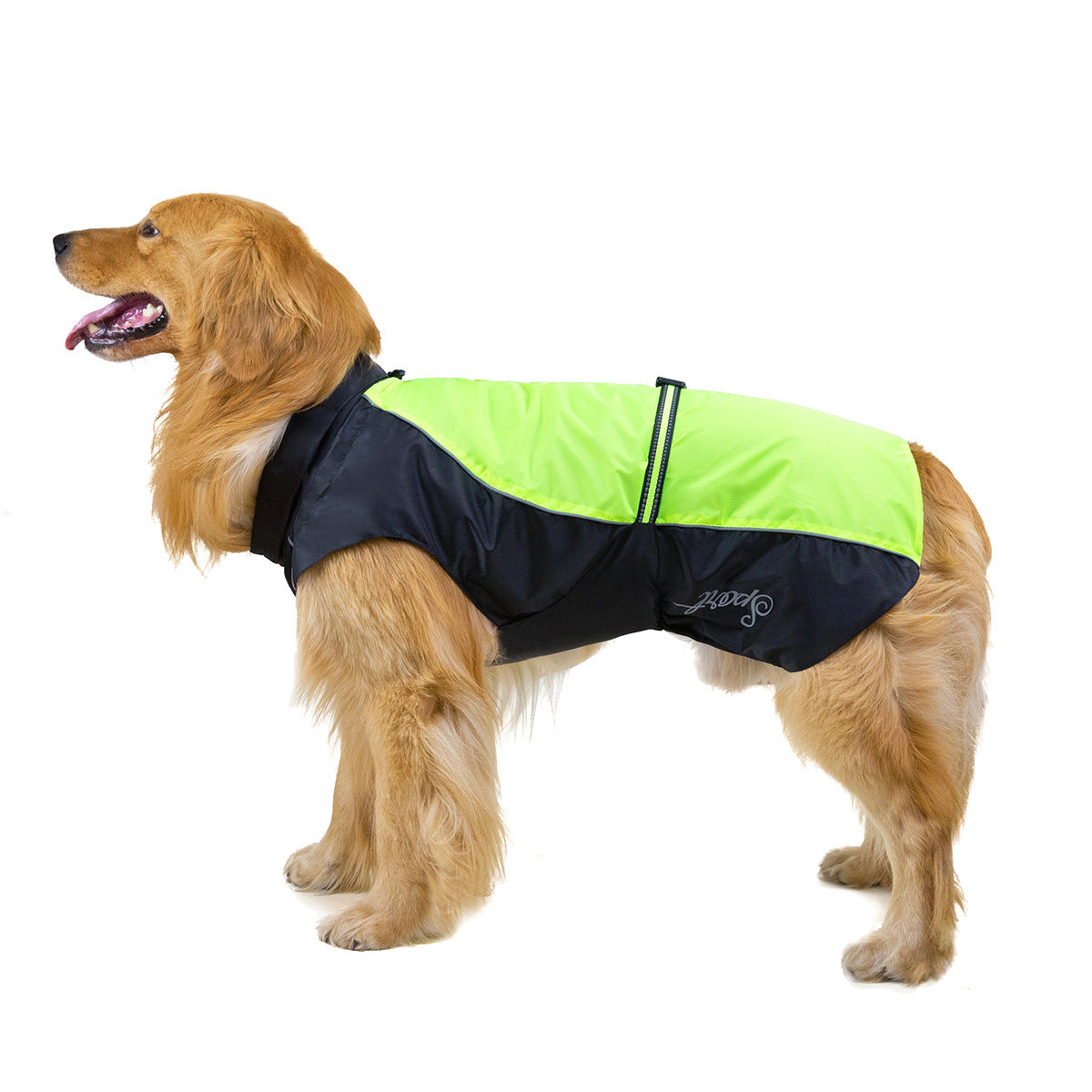 Raincoat for large dogs "Kalm Husky" with safe closure