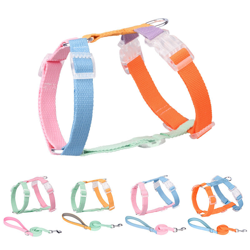 H "Color Rainbow" Leash and Harness Set