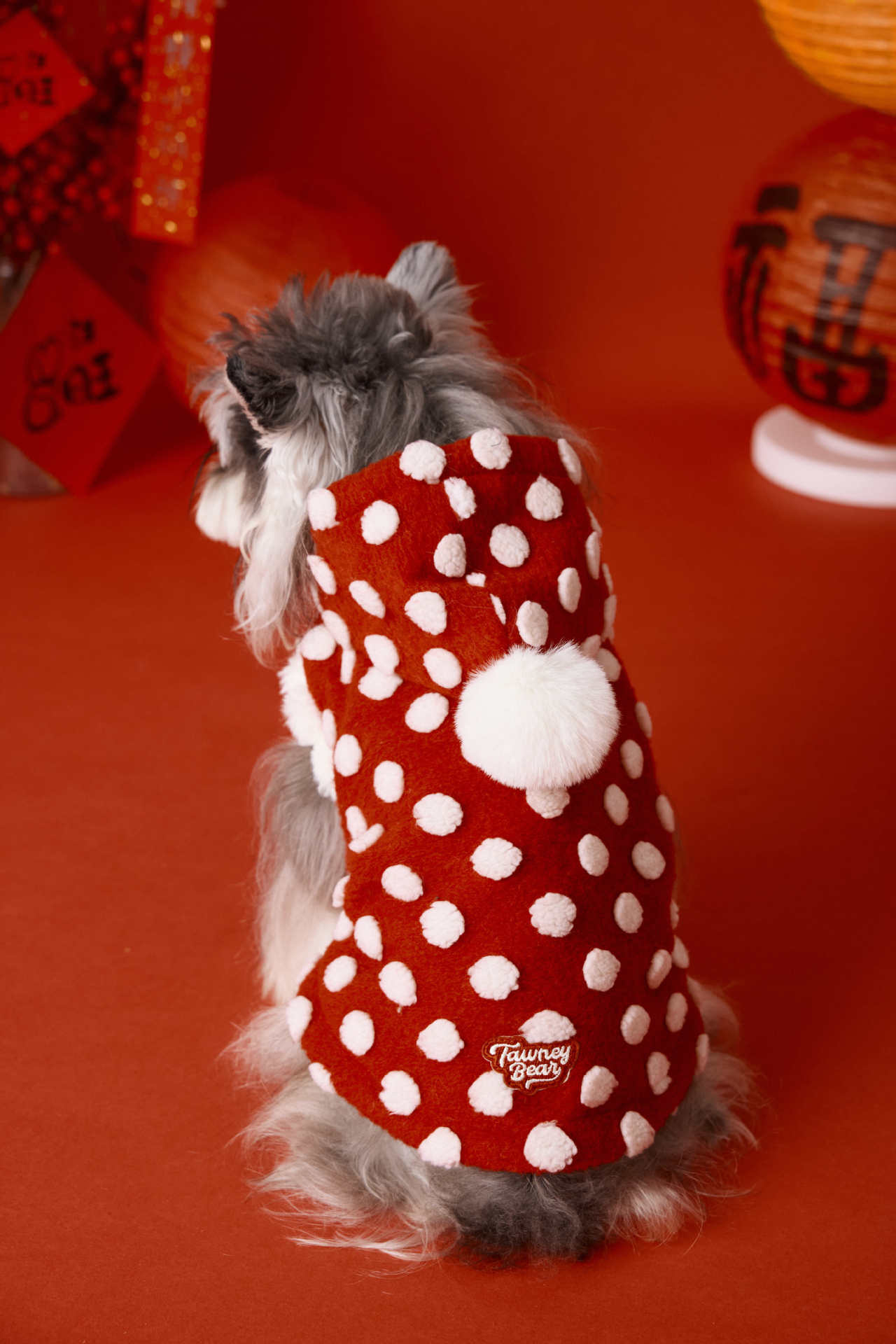 Red Polka Dot Dog Coat "Towney Bear" | DogModa