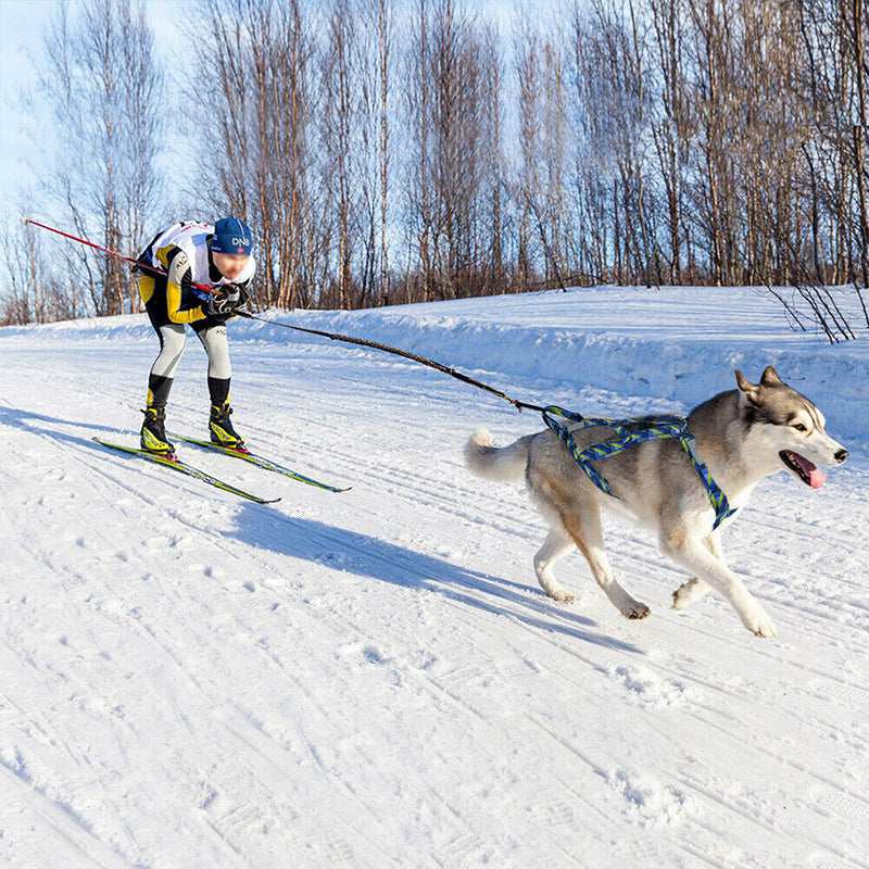 Heavy Duty Nylon Dog Sled Harness - Comfort and Reliability for Outdoor Activities 