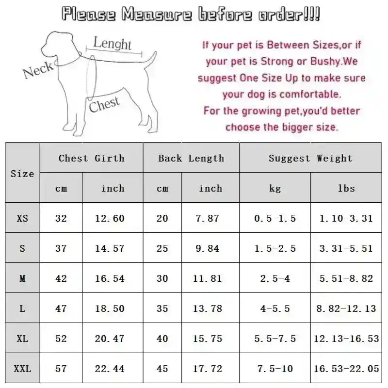 Piumino HIPIPET con Cappuccio Removibile per Cani - XS-XXL by Dog Moda