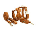 Set Arnés en H para Perros Modelo "Velvet"