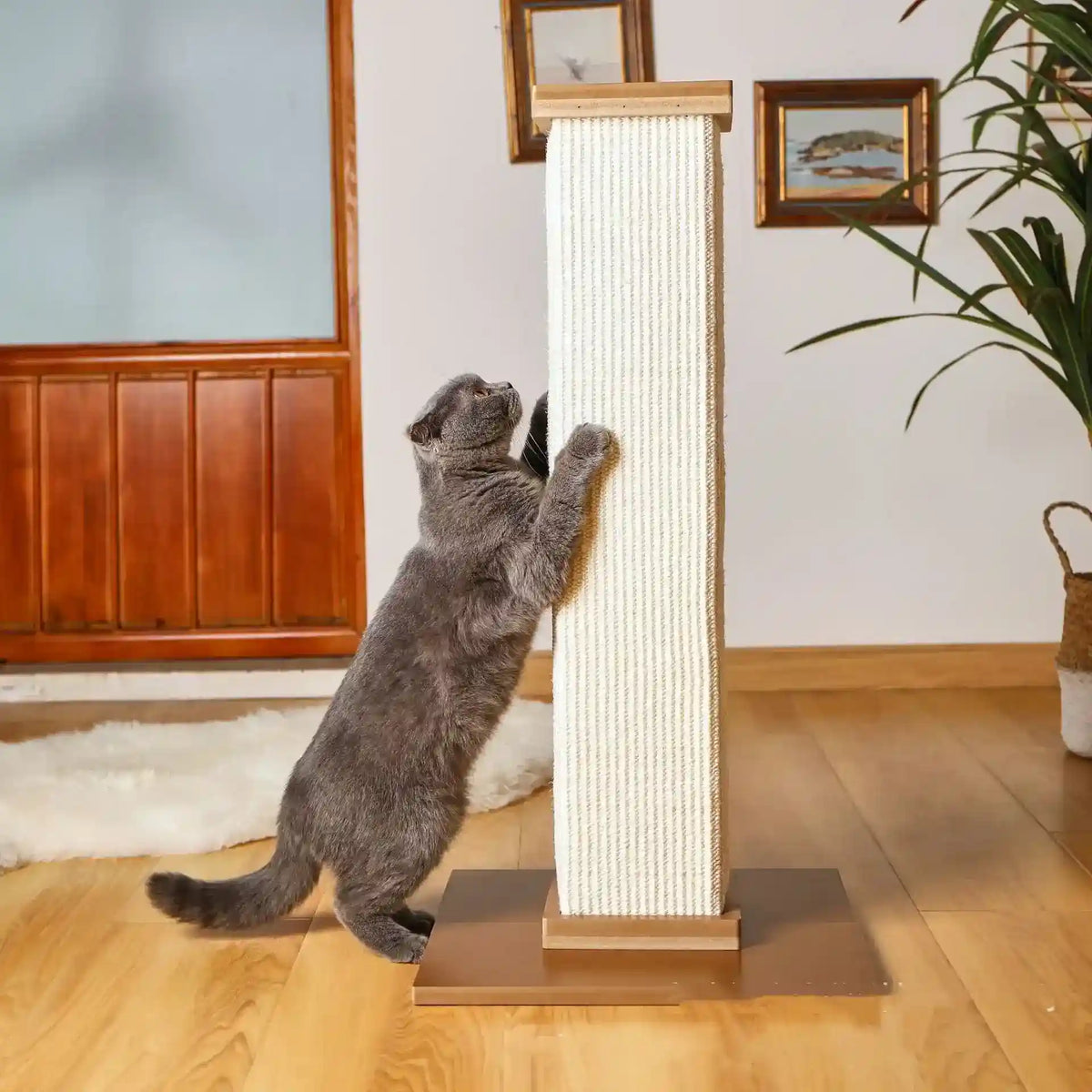 Torre Tiragraffi Gatti 80cm - Legno e Sisal Naturale by Dog Moda