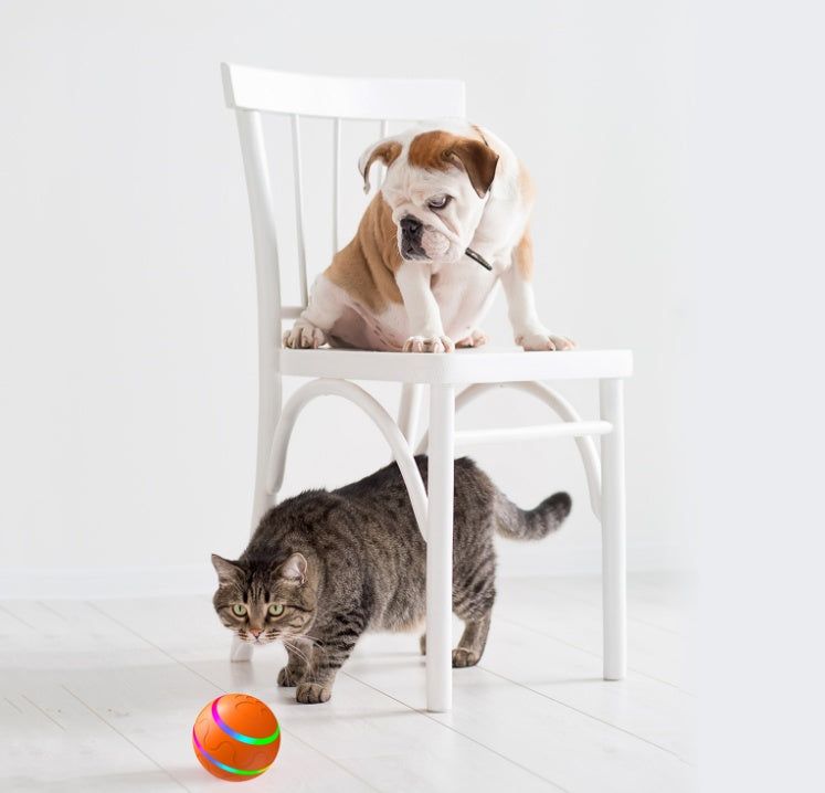 Palla interattiva gioco per cani con telecomando - Cheepet
