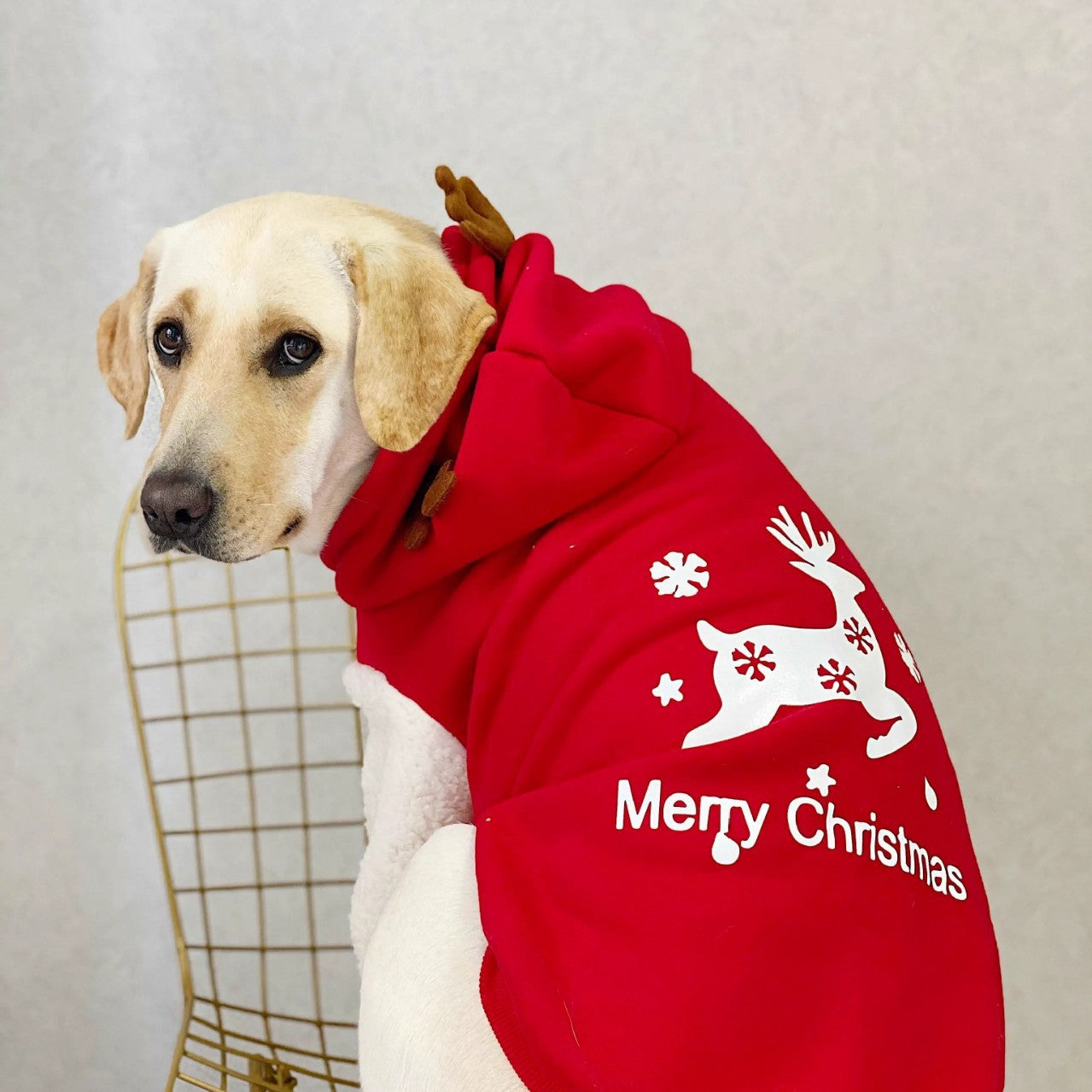 Sudadera Navideña para Perro y Gato Merry Christmas con Reno y Capucha