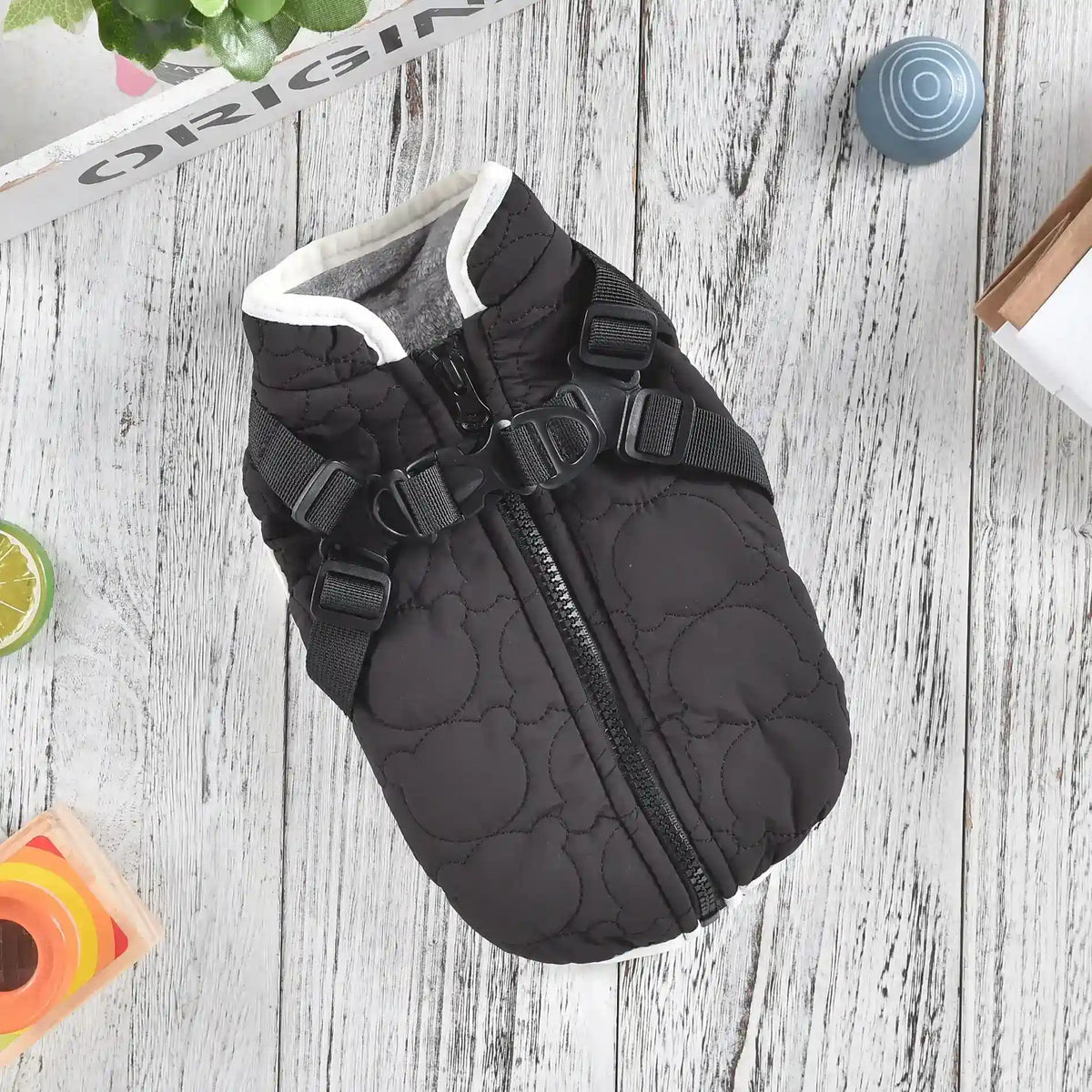 Cappotto per Cani Smanicato Orsetto - Impermeabile e Morbido by Dog Moda
