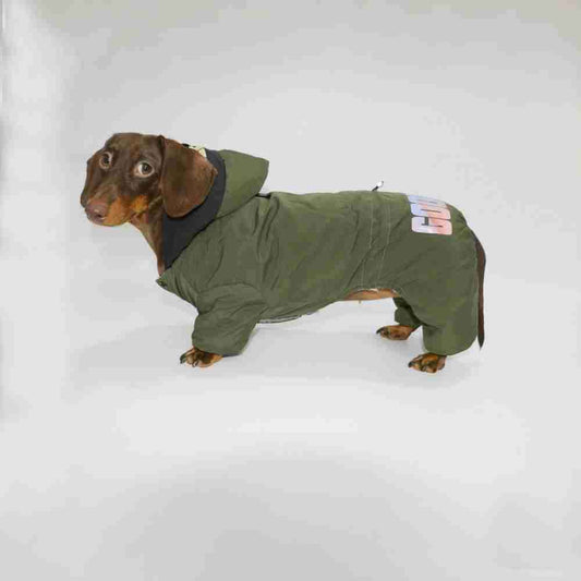 Impermeabile per Bassotto “Good Luck” – Caldo, Comodo e Stiloso by Dog Moda