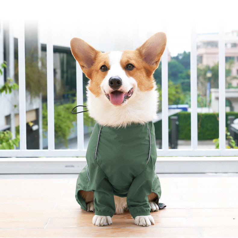 Dog Raincoat "Tewua"
