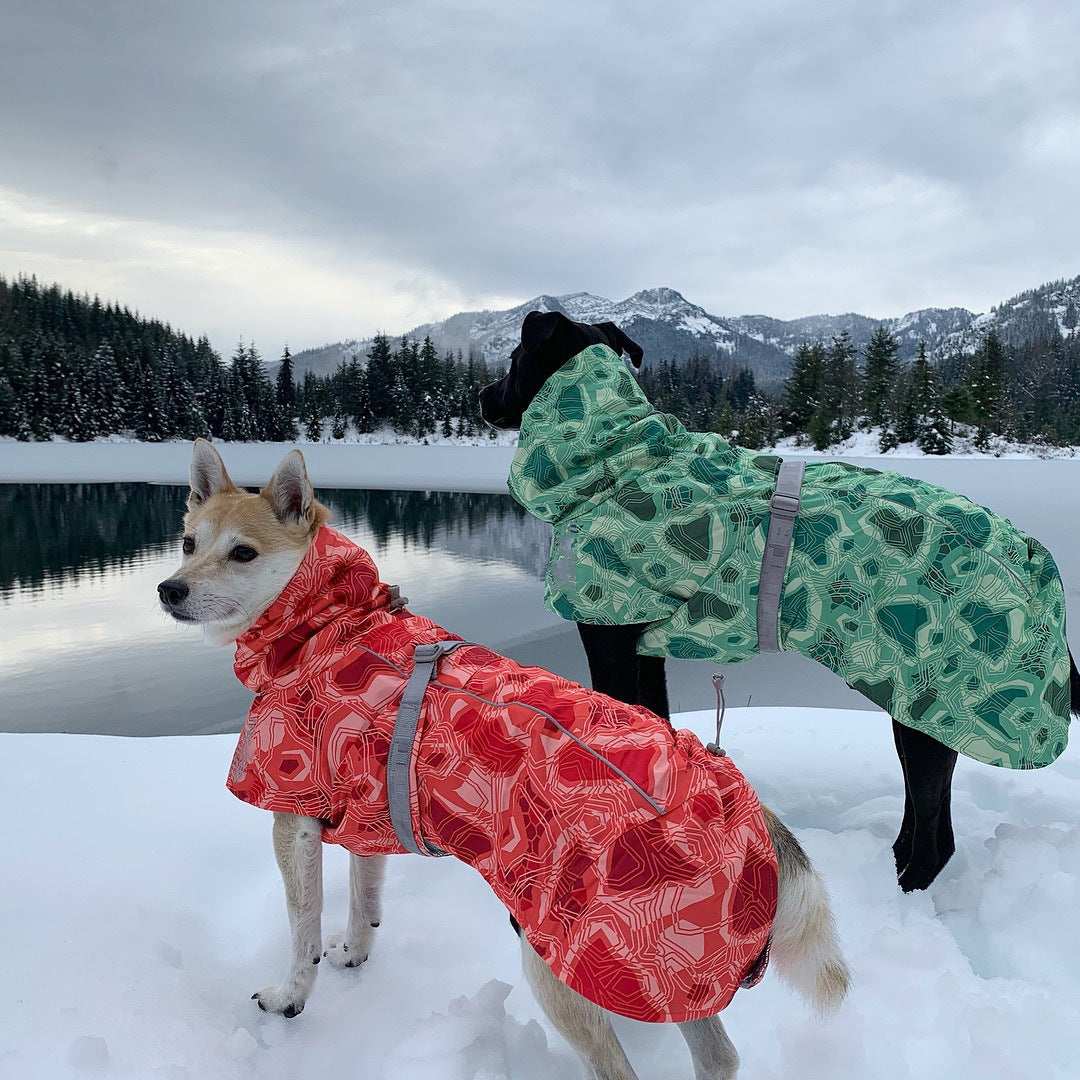 Schneegefütterter Mantel für mittelgroße und große Hunde