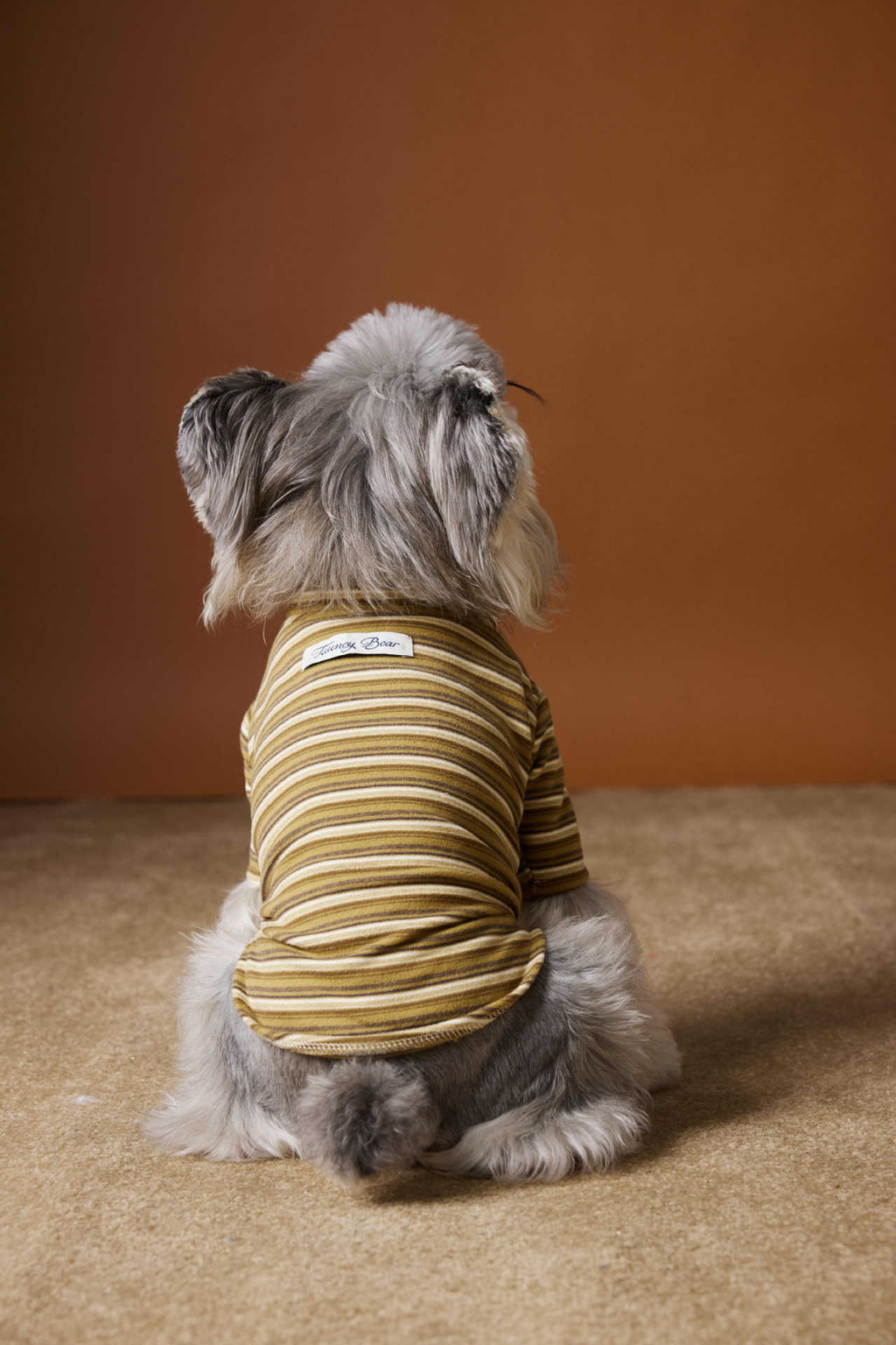 Maglia per Cani a Righe Tawney Bear - Stile Casual