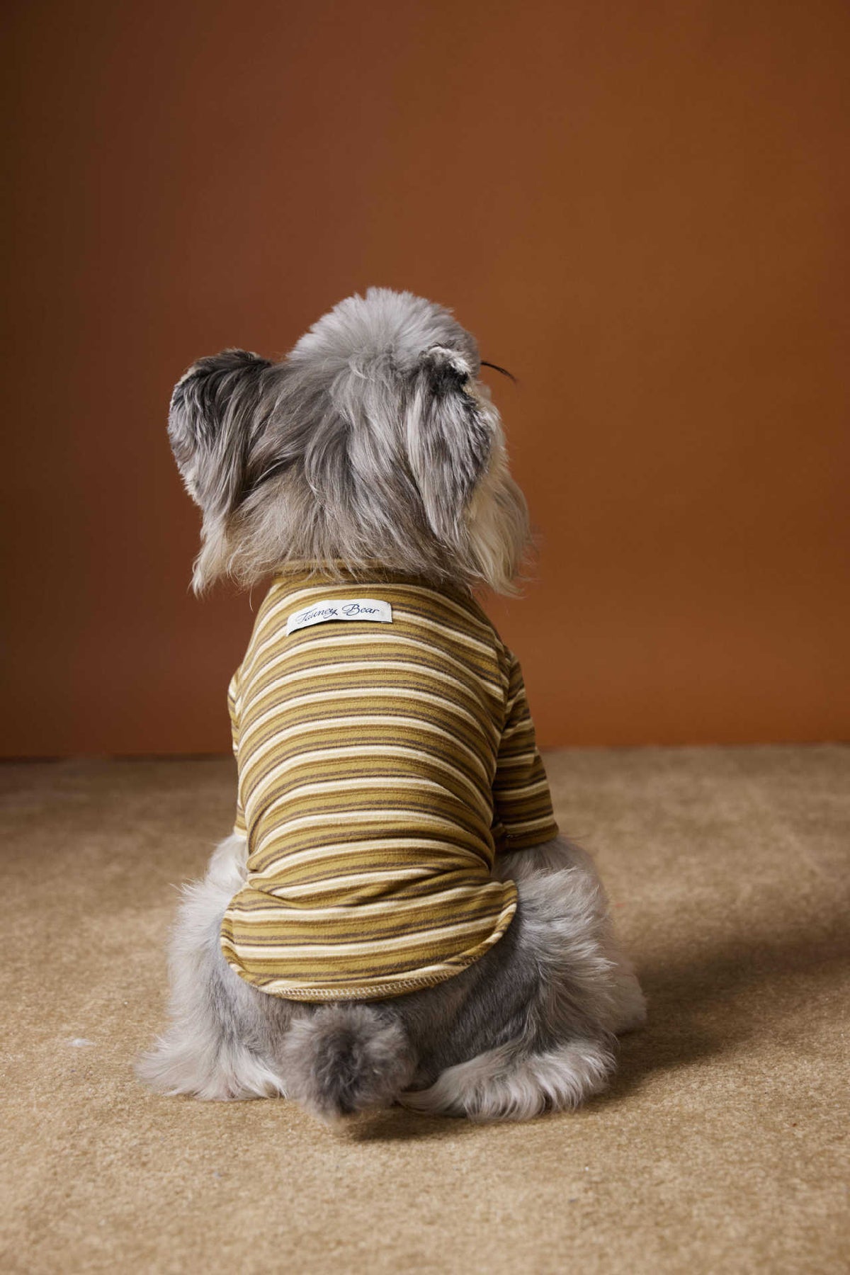Maglia per Cani a Righe Tawney Bear - Stile Casual by Dog Moda
