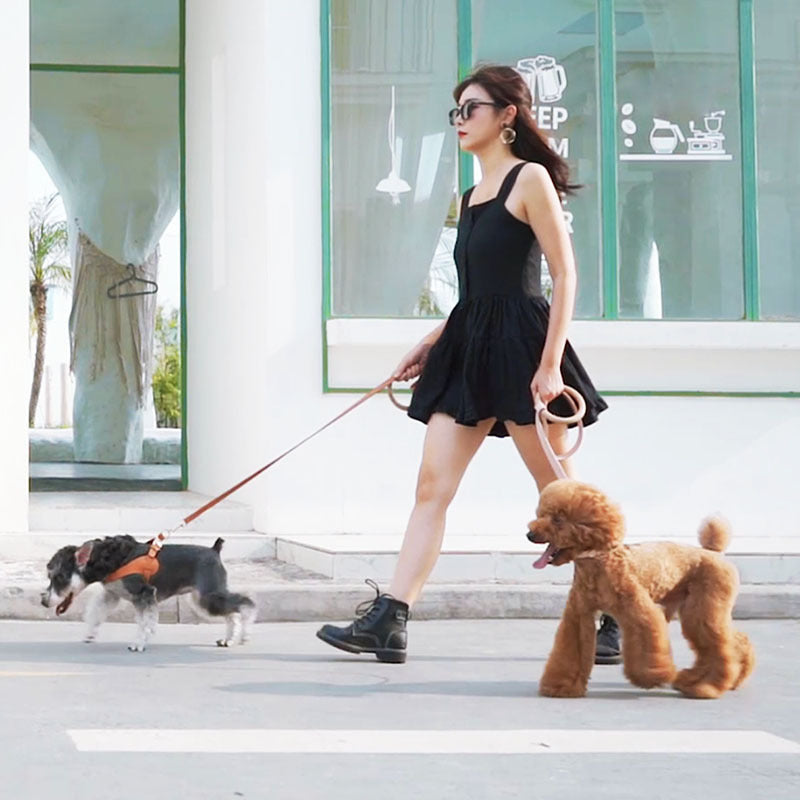 Super-fiber dog leash and collar set "Outlaw" - Arkika Lusso