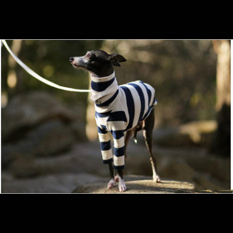 Greyhound Striped Medium Large Dog Sweater